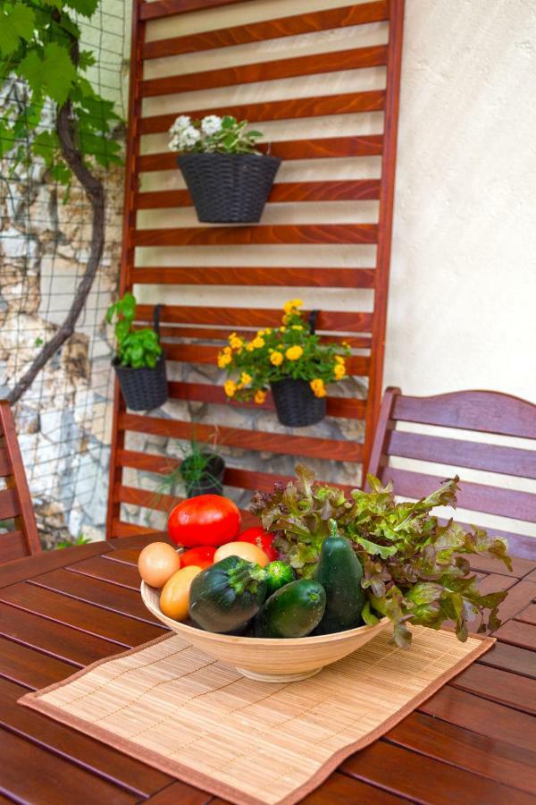 Mediterranean Terrace Apartment With Bikes & Sup Skradin Exteriér fotografie